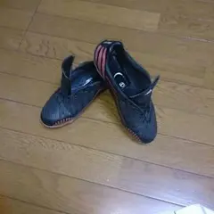 プレデター リーサルゾーン24.5