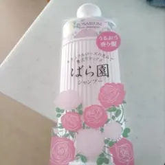 Item thumbnail for item c8b348de-fded-4123-a50f-de4095bec60b