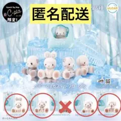 C-pla限定　ベビーくまカステラ　フローズン　4種セット