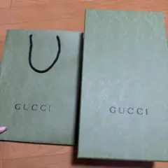 GUCCI グリーンショップ袋 大