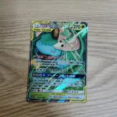 フシギバナ&ツタージャgx