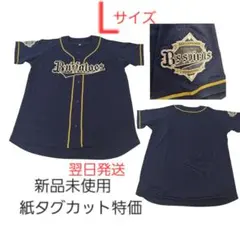 Item thumbnail for item c0c080bd-75c9-4636-b2dd-1dfc68d85248