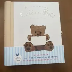 赤ちゃんダイアリー パリからやってきた育児日記 新品未使用のサムネイル