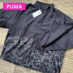 Item thumbnail for item 1aa1b827-fc75-4a24-9256-012bc34e39c8