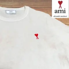 激レア】AMI PARIS アミパリス Tシャツ ゆるだぼ 完売モデル 刺繍