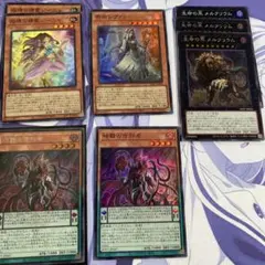 遊戯王 WORLD PREMIERE PACK 2026 SRセット(シクあり) - メルカリ