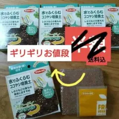 ◇栽培キット◇自由研究◇夏休み◇宿題◇食育◇自給自足◇サカタのタネのサムネイル