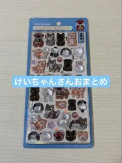 けいちゃんさん専用おまとめ 日本犬 相撲