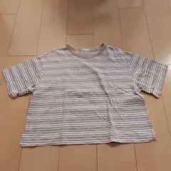 Item thumbnail for item 3038b2b3-4ad1-4816-a76c-5a605dccd6f8