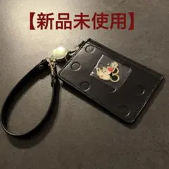 ディズニー ミニー パスケース MINNIE DAY