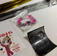 浜崎あゆみ　会場限定　ファンクラブ会員限定　ステッカー　11種プラスおまけ 浜崎あゆみ 会場限定 ファンクラブ会員限定 ステッカー 11種プラス