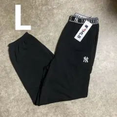 Item thumbnail for item 5dd5db55-9101-4c1e-91ed-b31e11ba3f64