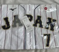 Item thumbnail for item 9ac8f045-f4f8-4d70-9ddf-0d7d6bb5be6b