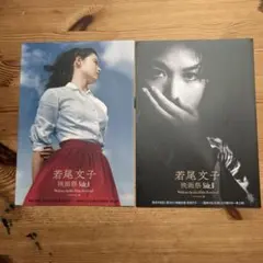 若尾文子 映画祭 Side.A Side.B 2種 フライヤー 40部セット - メルカリ
