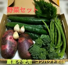 野菜セット❤じゃが芋❤ブロッコリー❤きゅうり❤インゲン❤大葉他⭐️農薬不使用のサムネイル