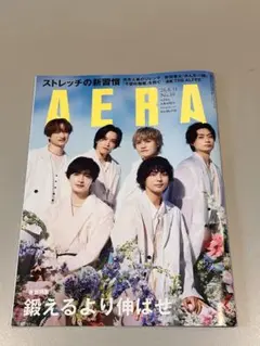 AERA26.8.31