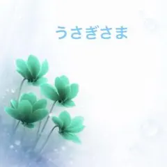 うさぎ様 リクエスト 2点 まとめ商品