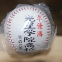 第94回全国高校野球選手権大会 準優勝記念ボール - メルカリ
