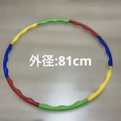 カラフル フィットネス ホイールサイズ調整可能　美品