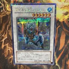 2026年最新】氷結界の虎王 ドゥローレン DT03-JP033 URの人気アイテム