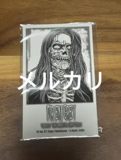 Dir en grey die 朱乱の威 パンフレット 2025年最新】dir en grey dieの人気アイテム - メルカリ