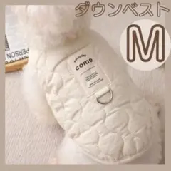 Item thumbnail for item 5fb0caf3-458b-4663-8a05-685cc0c16533