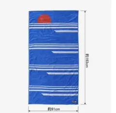 2026年最新】patagonia メンズ 水着・ラッシュガード その他の人気