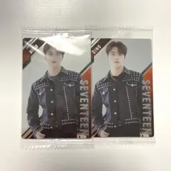 SEVENTEEN ツイン ウエハース シール DINO ディノ