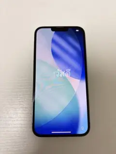 Apple iPhone13 Promax 256g グラファイト