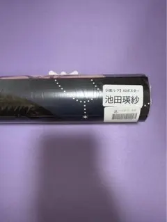 Item thumbnail for item 85472429-667f-45ee-8979-4e993e3d400f