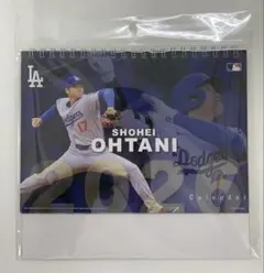 Item thumbnail for item e2edfb44-9e30-4ab4-b6de-1fef5c3b03bd