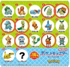 ポケモン　チョコエッグ　旅立ちの3匹【6種】