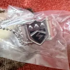 家庭教師ヒットマンREBORN! リボーン ボンゴレリングコレクション 雷