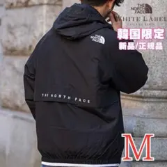 セール　韓国限定　ノースフェイス　VILAN EX JACKET　M