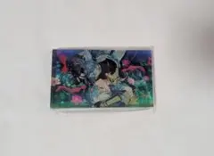 瀬名泉 中国 星光アクリルブロック アクブロ