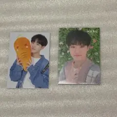 ホシ HARU 人参 メッセージ seventeen トレカ