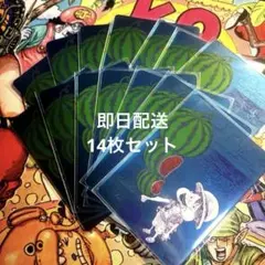 ワンピース ナツコミ 20枚 - メルカリ