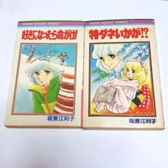 【坂東江利子】 少女漫画 2冊セット