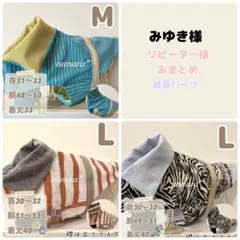 Item thumbnail for item 740b333d-7ec1-423c-8641-eca44c910ff0