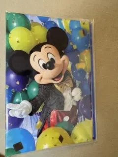 東京ディズニーリゾート コレクションカードホルダー