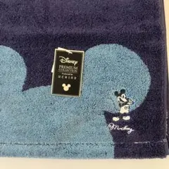 Item thumbnail for item 564a735e-7771-441d-98c8-2d60ef80f47b