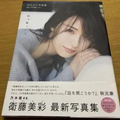 Item thumbnail for item d9299261-d873-45de-b63c-fbf7be921ca6