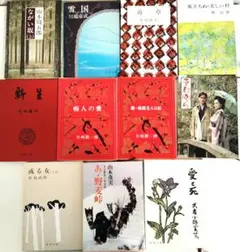 日本文学 名作セット １１冊まとめ売り