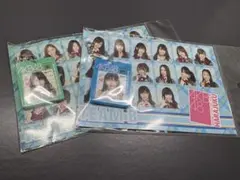 AKB48 パズルキーホルダー 宮崎美穂 菊地あやか 2点セット