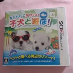 オシャレでかわいい 子犬と遊ぼ! -海編-