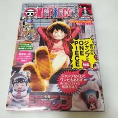 ワンピースマガジン20号 付録付き