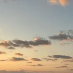 ディズニーリゾート ミッキー耳付き帽子 黒