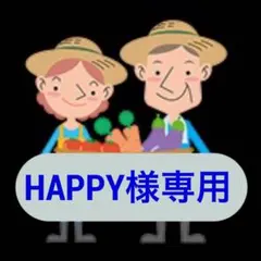HAPPY様専用 淡路島産新玉ねぎ 秀品3kg 茎付きスーパーアップ 夢玉