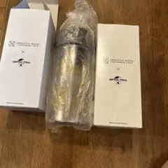 Item thumbnail for item 4ecc4232-25dc-469b-85d4-bacd9e988839