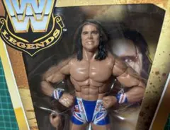 ブリティッシュブルドッグ　デイビーボーイスミスWWE Legends マテルのサムネイル